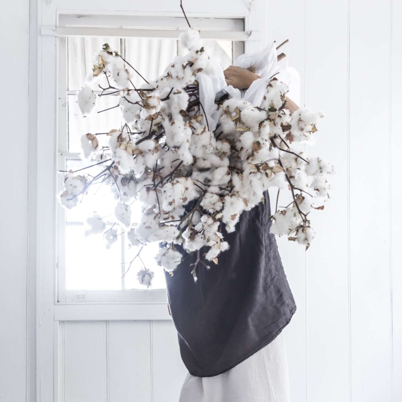 Why you should choose organic cotton